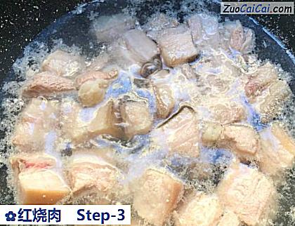 红烧肉做法第三步骤