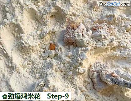 劲爆鸡米花做法第九步骤