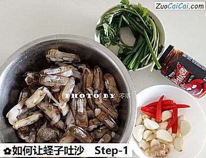 如何让蛏子吐沙做法第一步骤
