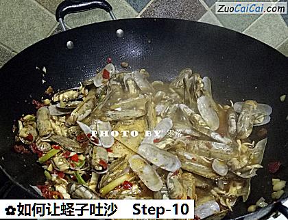 如何让蛏子吐沙做法第十步骤