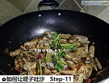 如何让蛏子吐沙做法第十一步骤