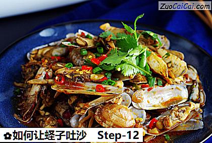 如何让蛏子吐沙做法第十二步骤