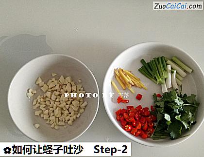 如何让蛏子吐沙做法第二步骤