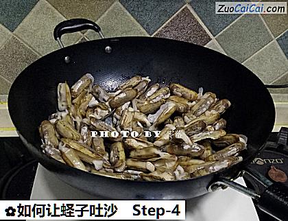 如何让蛏子吐沙做法第四步骤
