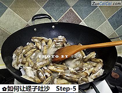 如何让蛏子吐沙做法第五步骤