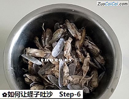 如何让蛏子吐沙做法第六步骤