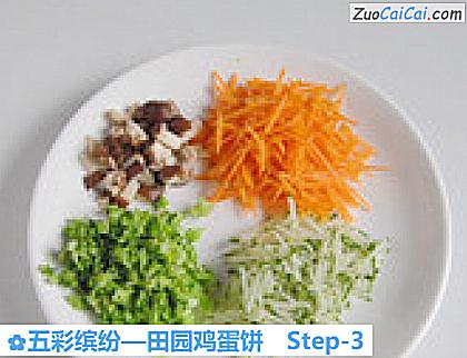 五彩缤纷做法第三步骤