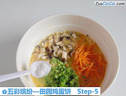 五彩缤纷做法第五步骤