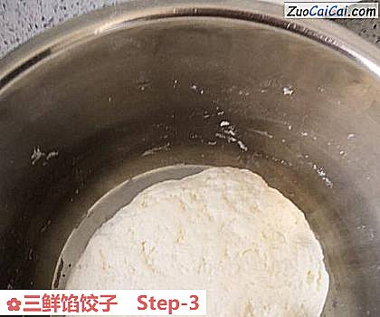 三鲜馅饺子做法第三步骤