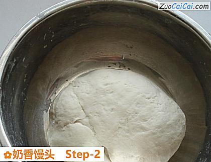 奶香馒头做法第二步骤