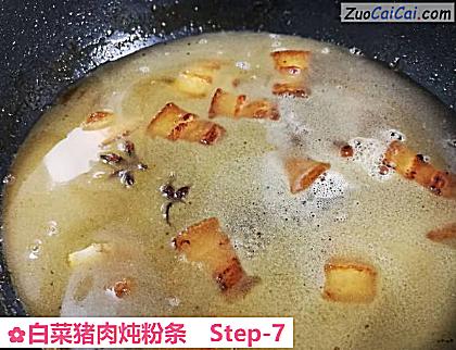 白菜猪肉炖粉条做法第七步骤