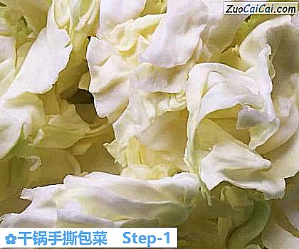 干锅手撕包菜做法第一步骤