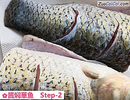 酱焖草鱼做法第二步骤