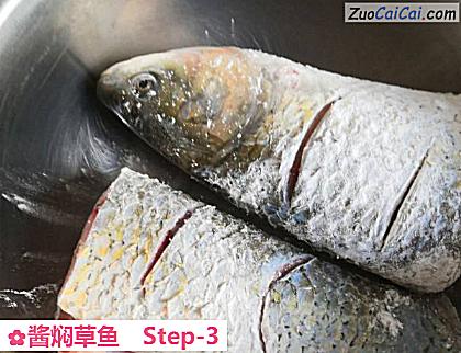 酱焖草鱼做法第三步骤