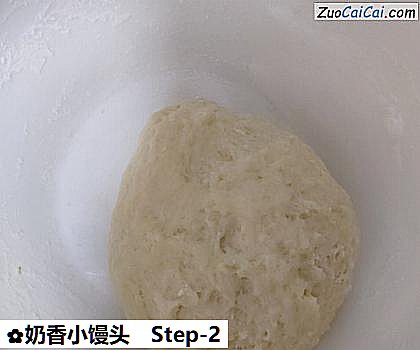 奶香小馒头做法第二步骤