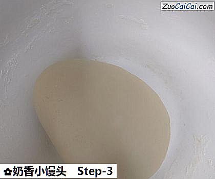 奶香小馒头做法第三步骤