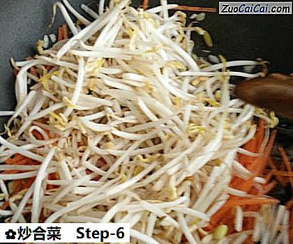 炒合菜做法第六步骤