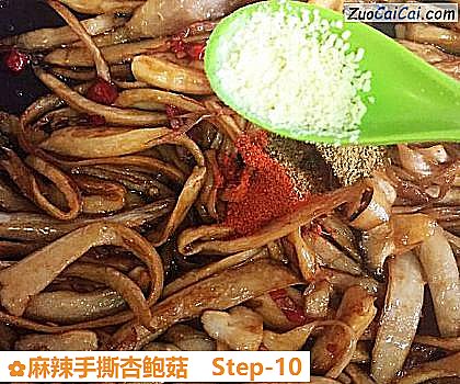 麻辣手撕杏鲍菇做法第十步骤