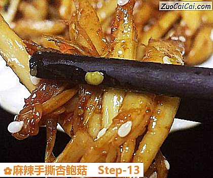 麻辣手撕杏鲍菇做法第十三步骤