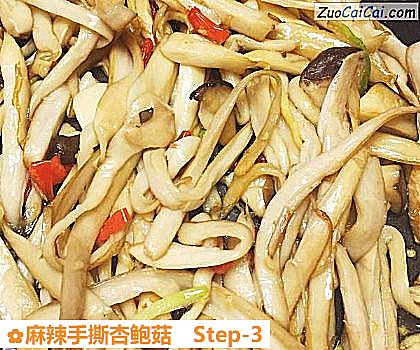 麻辣手撕杏鲍菇做法第三步骤
