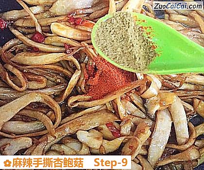 麻辣手撕杏鲍菇做法第九步骤