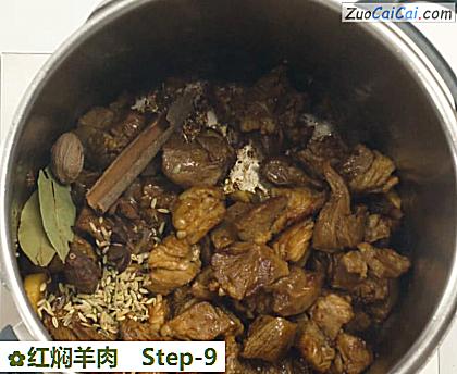 红焖羊肉做法第九步骤
