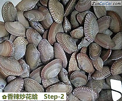 香辣炒花蛤做法第二步骤