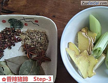 香辣猪蹄做法第三步骤