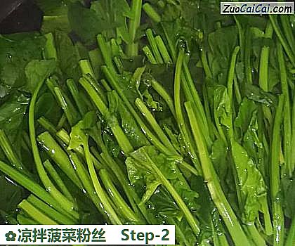 凉拌菠菜粉丝做法第二步骤