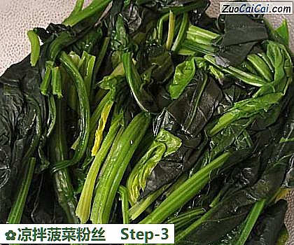 凉拌菠菜粉丝做法第三步骤