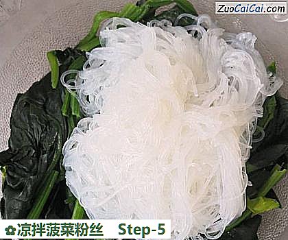 凉拌菠菜粉丝做法第五步骤