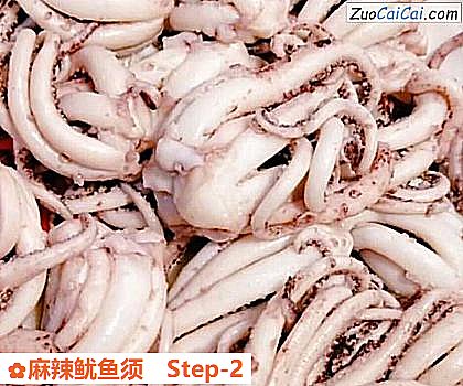 麻辣鱿鱼须做法第二步骤