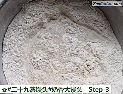 奶香大馒头做法第三步骤