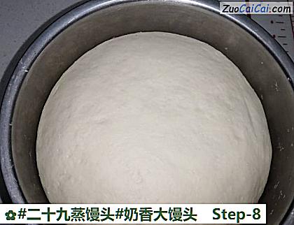 奶香大馒头做法第八步骤