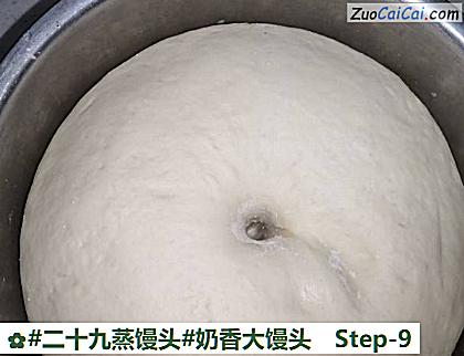 奶香大馒头做法第九步骤