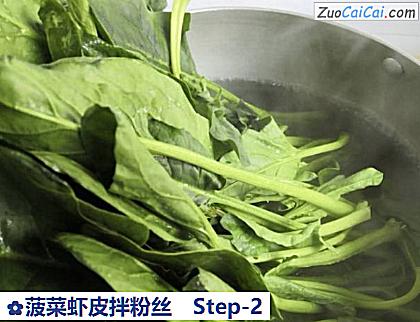 菠菜虾皮拌粉丝做法第二步骤