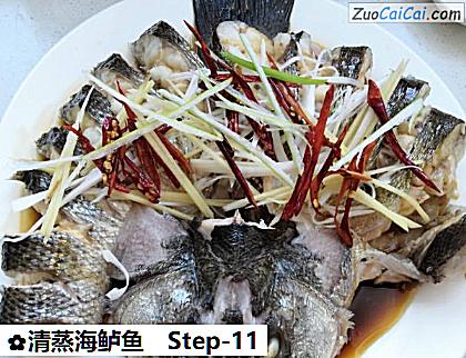 清蒸海鲈鱼做法第十一步骤