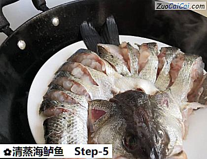 清蒸海鲈鱼做法第五步骤