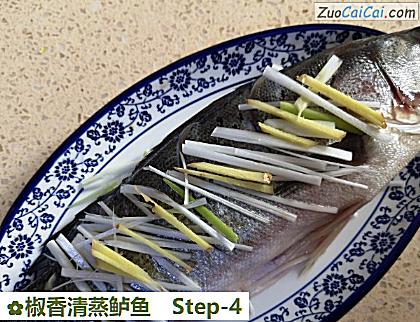 椒香清蒸鲈鱼做法第四步骤