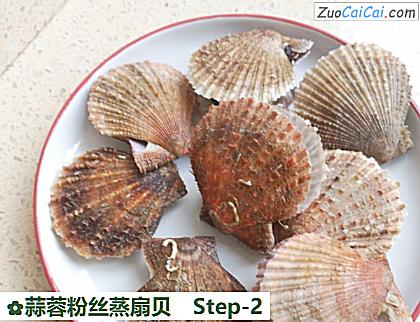 蒜蓉粉丝蒸扇贝做法第二步骤