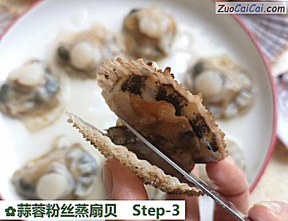 蒜蓉粉丝蒸扇贝做法第三步骤