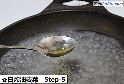 白灼油麦菜做法第五步骤