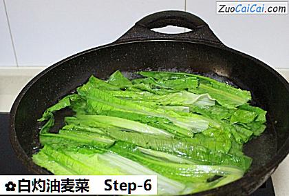 白灼油麦菜做法第六步骤