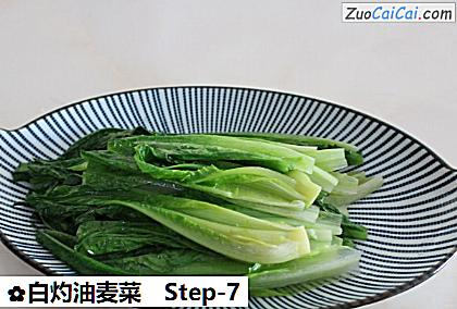 白灼油麦菜做法第七步骤