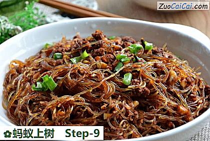 蚂蚁上树做法第九步骤