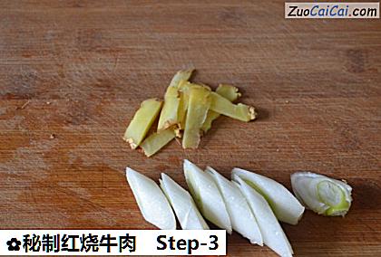 秘制红烧牛肉做法第三步骤