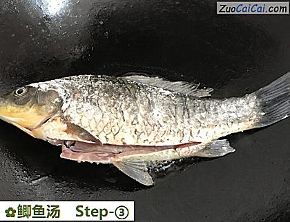鲫鱼汤做法第三步骤