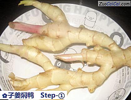 子姜焖鸭做法第一步骤