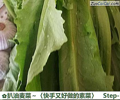 扒油麦菜~〈快手又好做的素菜〉做法第一步骤
