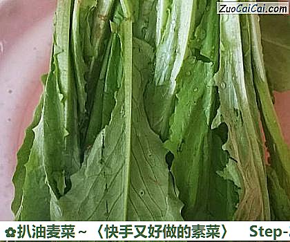 扒油麦菜~〈快手又好做的素菜〉做法第二步骤